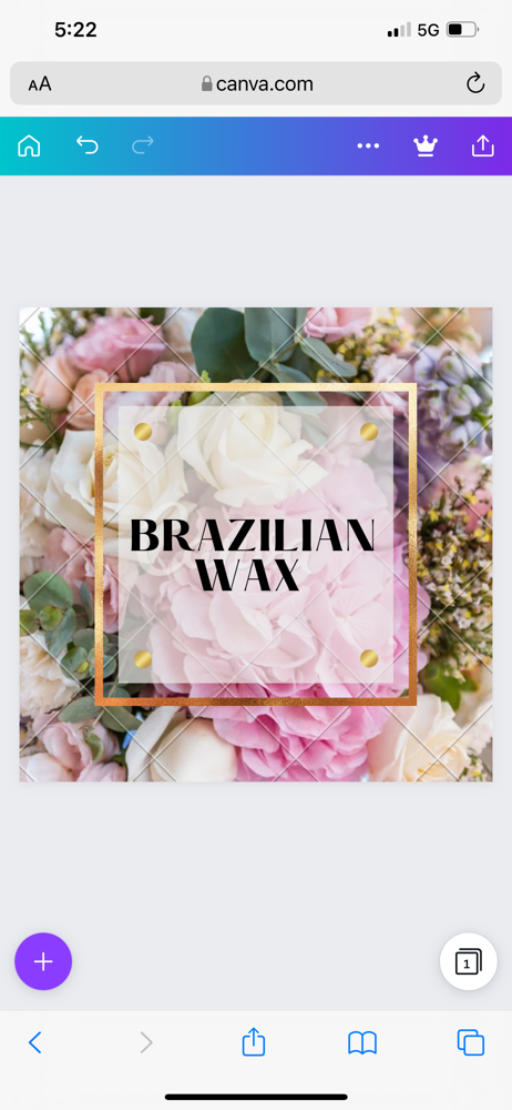 ✨$50 Brazilian✨