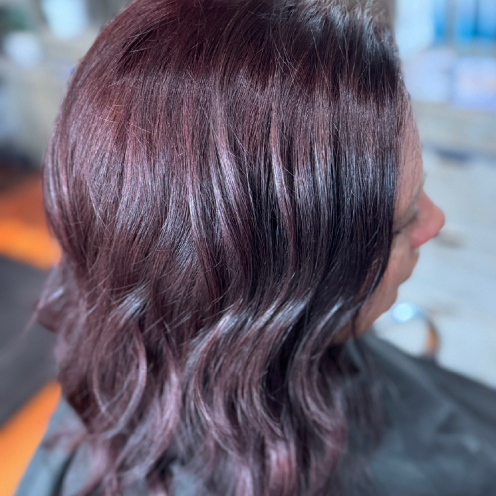 Whisper Color with Haircut at Colour Thairapy Salon in Wichita, KS