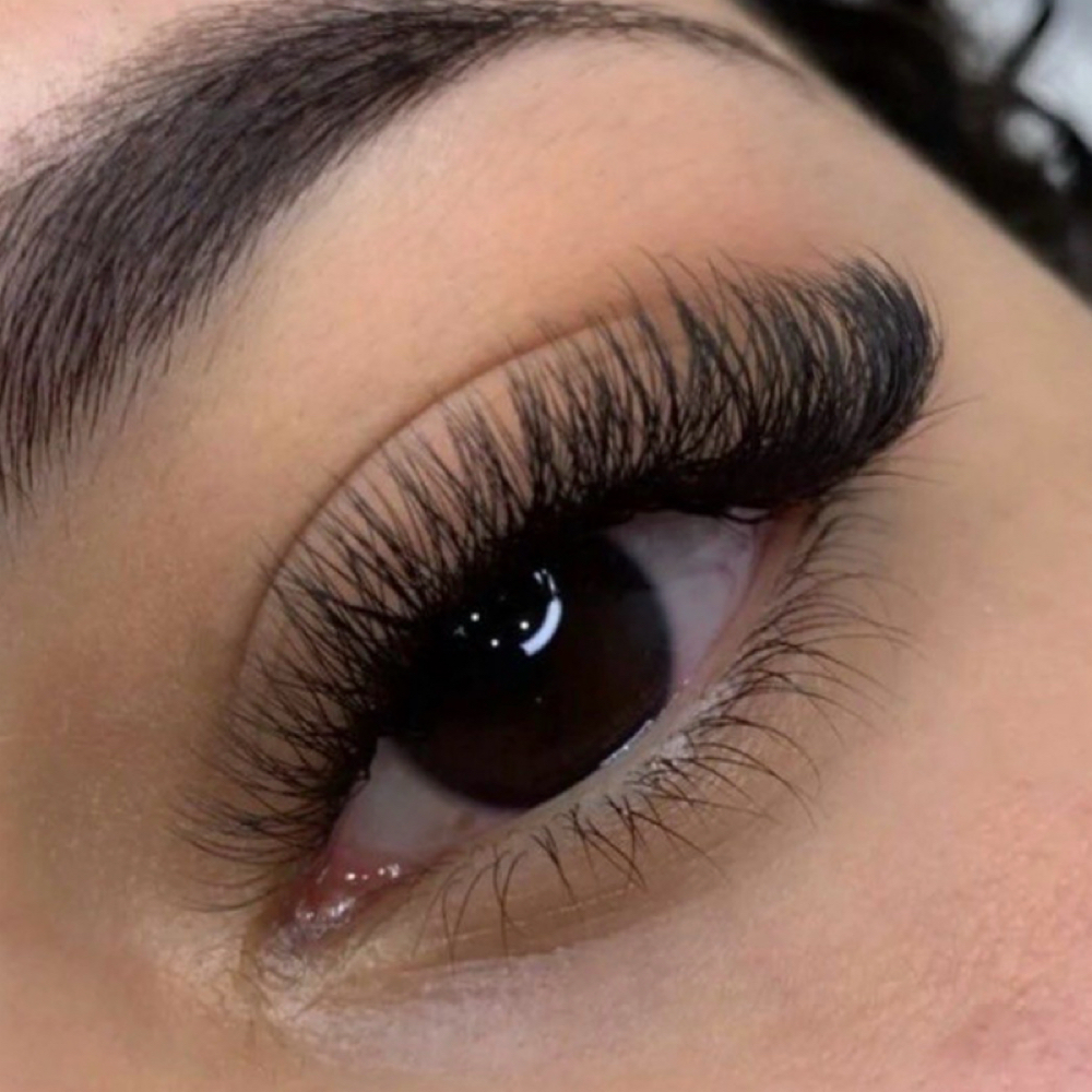 Volume Lash Extentons at The Shelton Studio in Shelbyville, TN