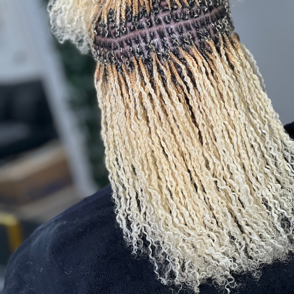 Microloc Twist Extentions at Byrd’s Braids in Crestwood, IL