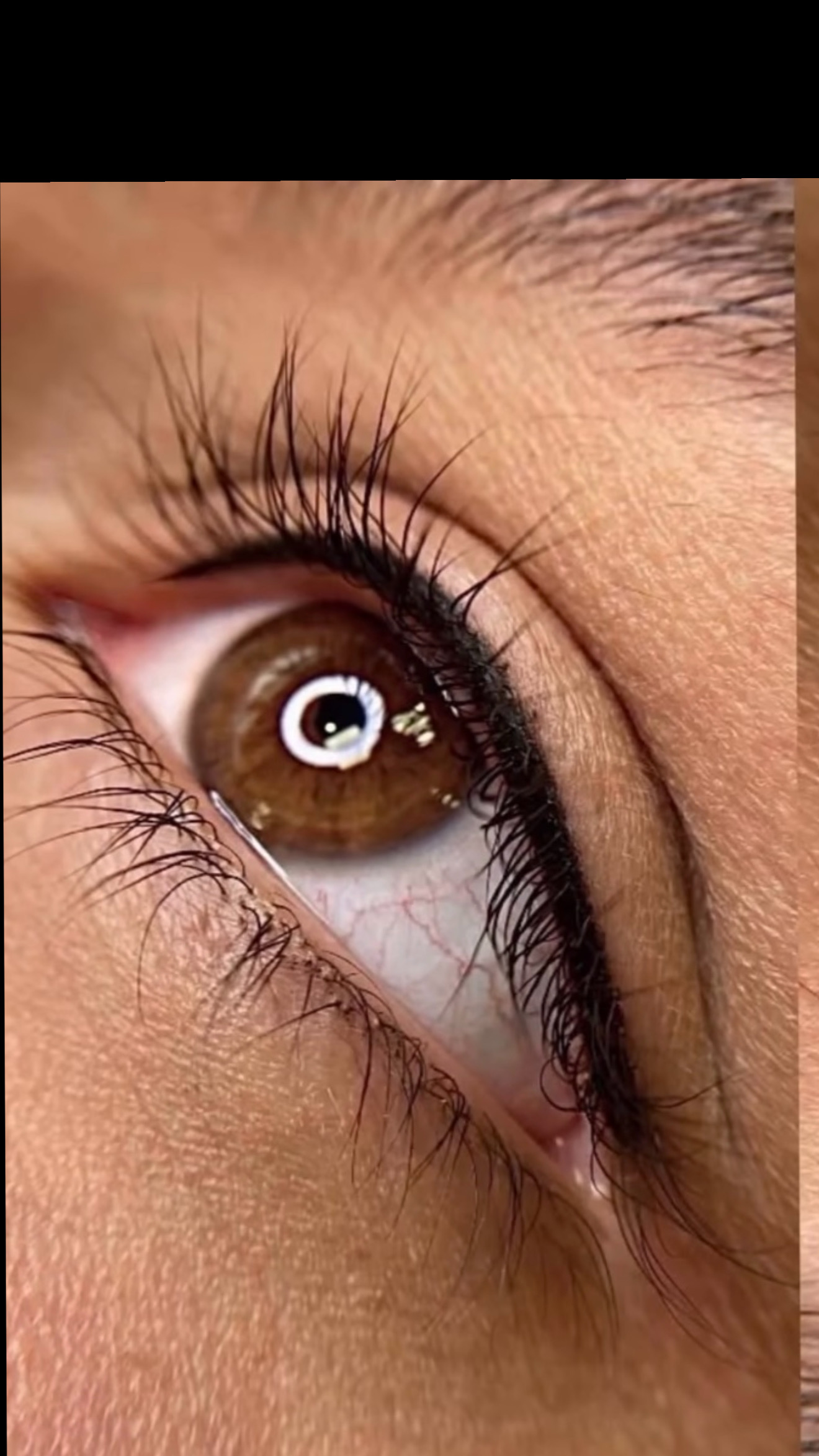 Lash Line 50%off Limited Time