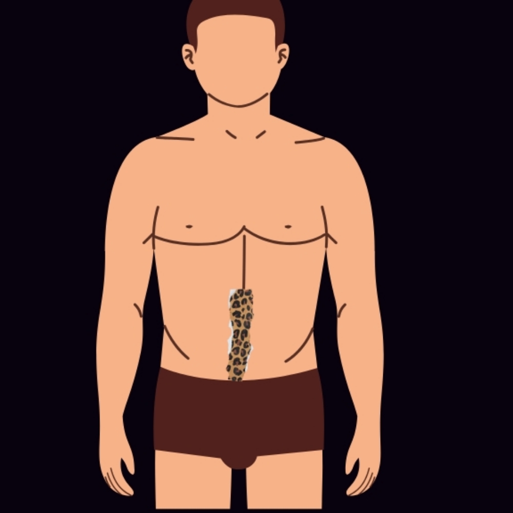 Stomach Strip at Pink Collar Wax LLC in worcester, MA