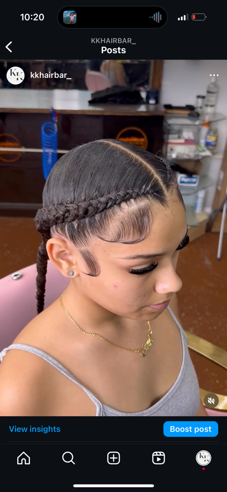 2 FEED IN BRAIDS
