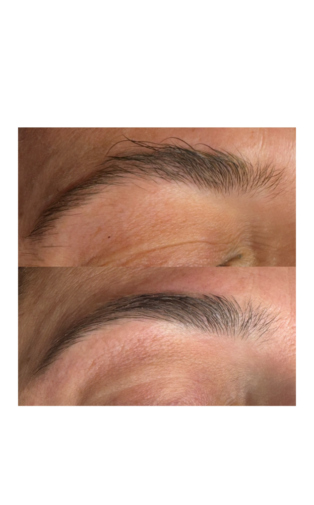 The Classic Brow (Wax/Tweeze)