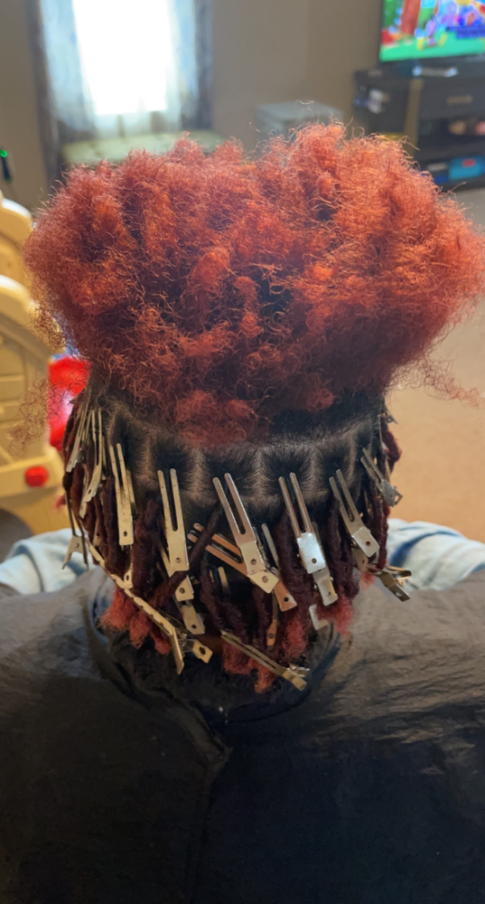 Starter Locs