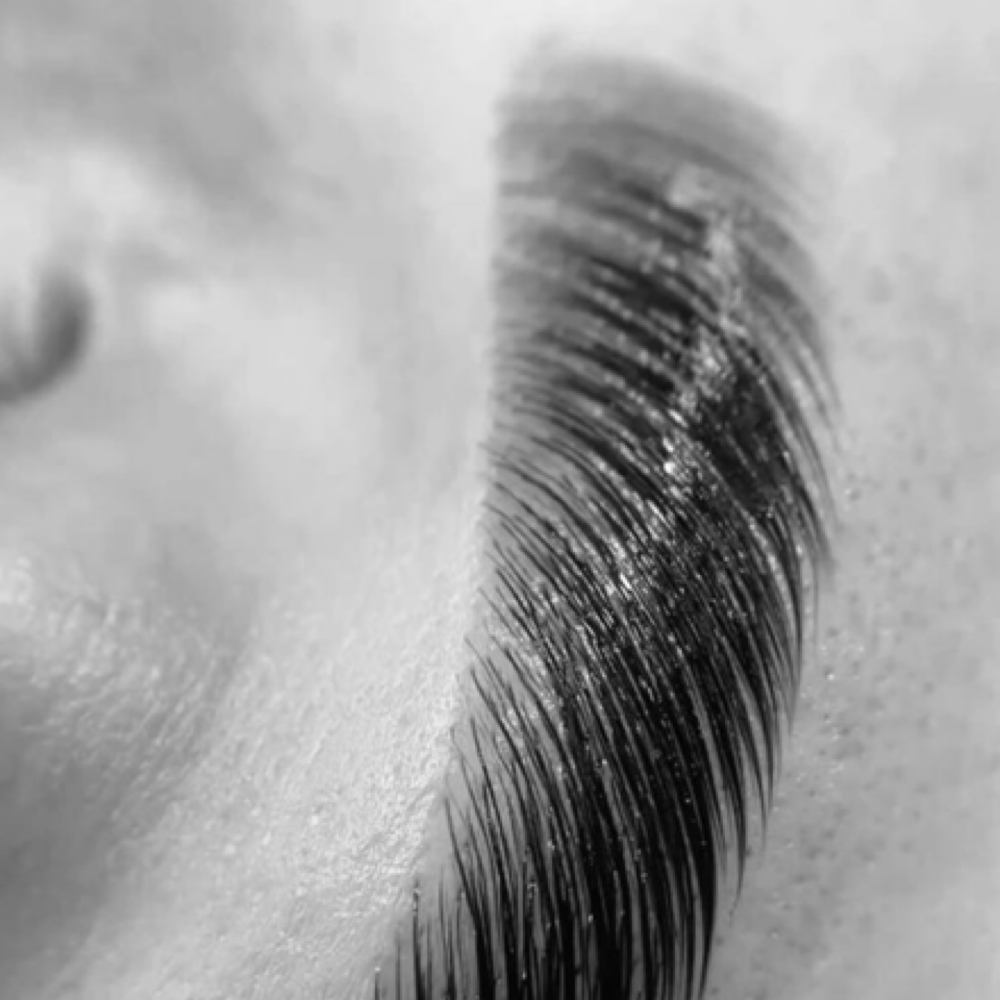 brows at Gabriella Caruso in Pittsburgh, PA