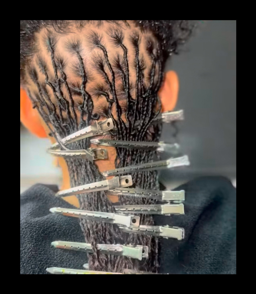 Two Strand Starters at Exquisite Locs by Chrissy in Memphis, TN