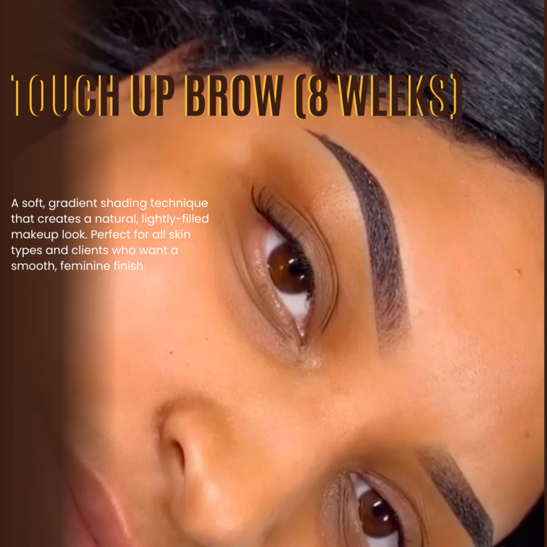 TOUCH UP (6-8 WEEKS) - $99 at Chi Beauty Lashes & Brows in Los Angeles, CA