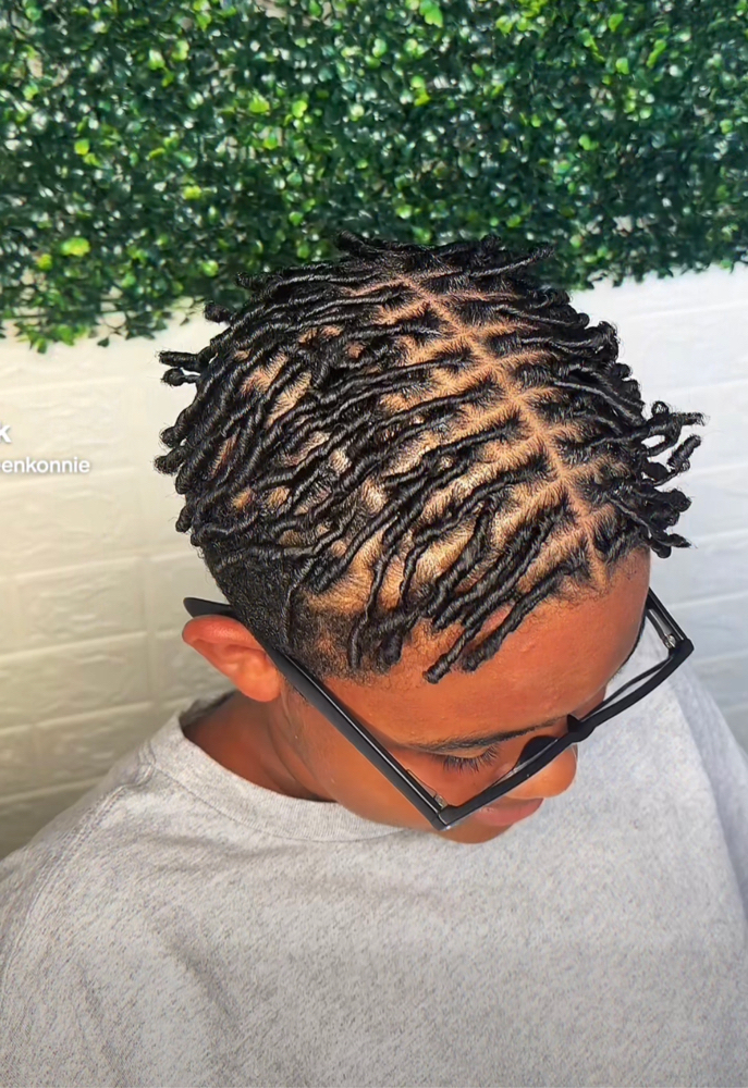 Adult Starter Locs (Coils)