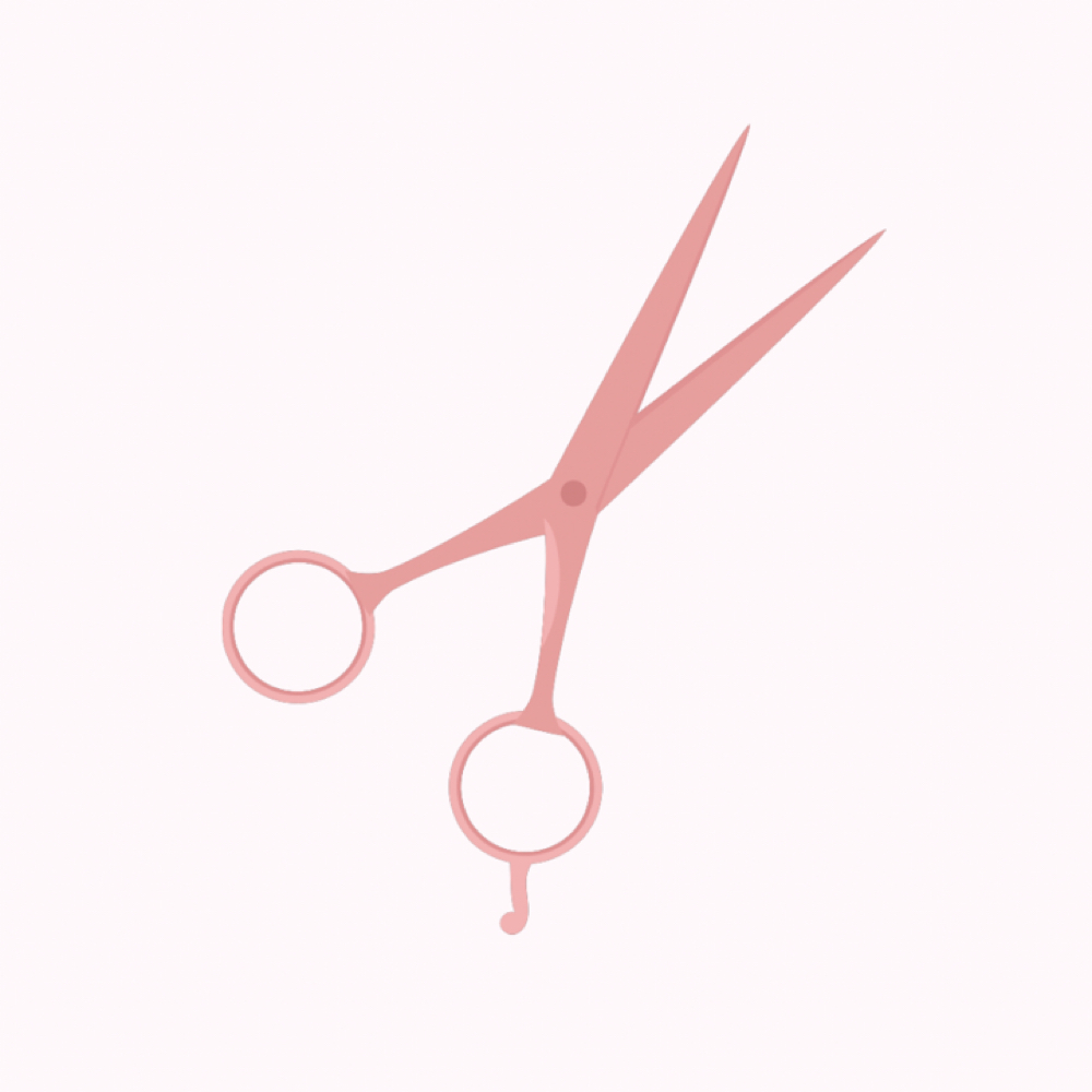 Haircut ONLY at White Dove Salon and Aesthetics in Hickory, NC