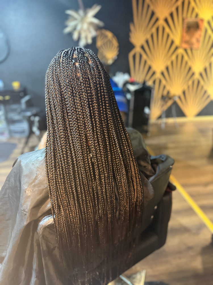 Small Knotless Braids at StylesbyShanti in Phoenix, AZ