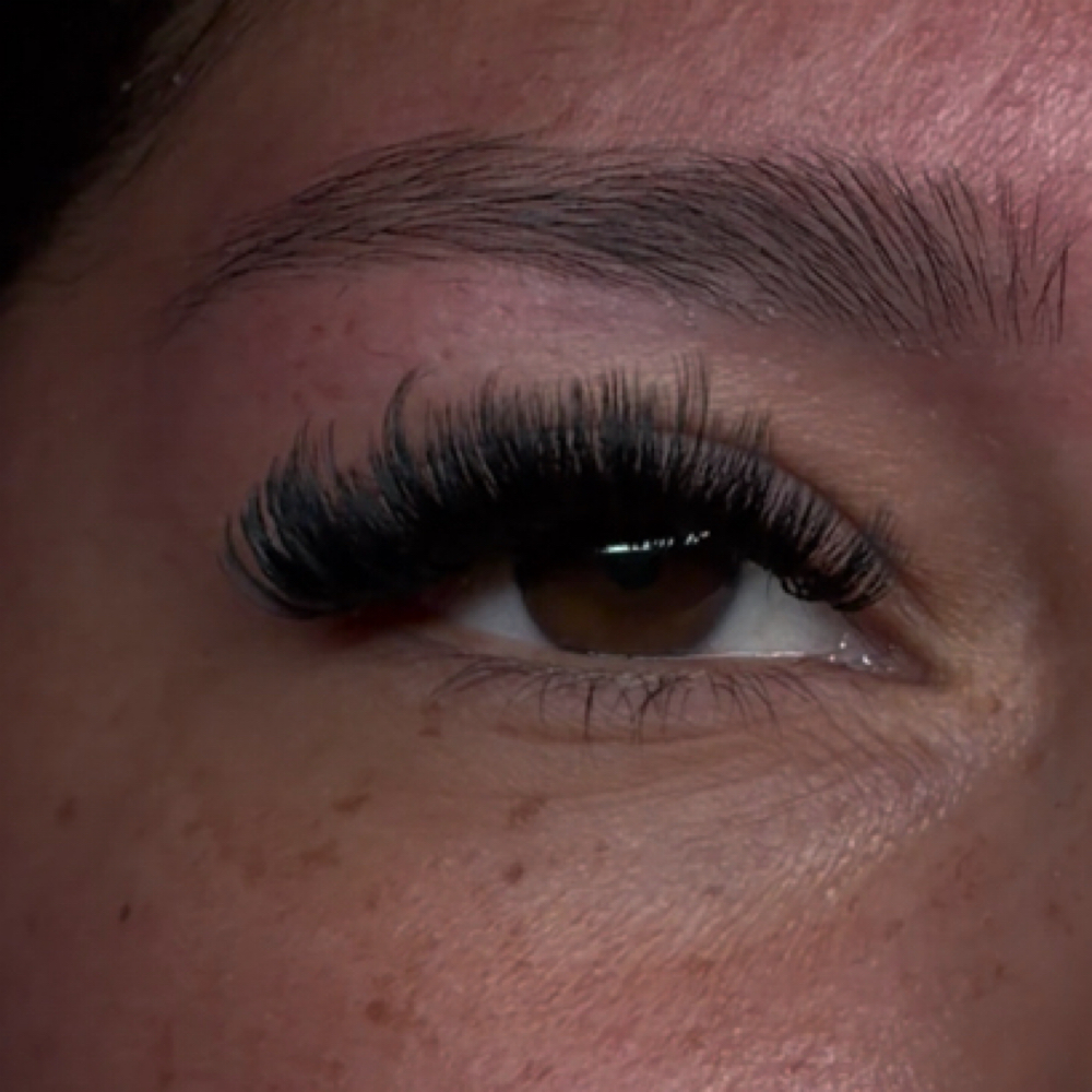 Volume at Txlashnbrow in Abilene, TX