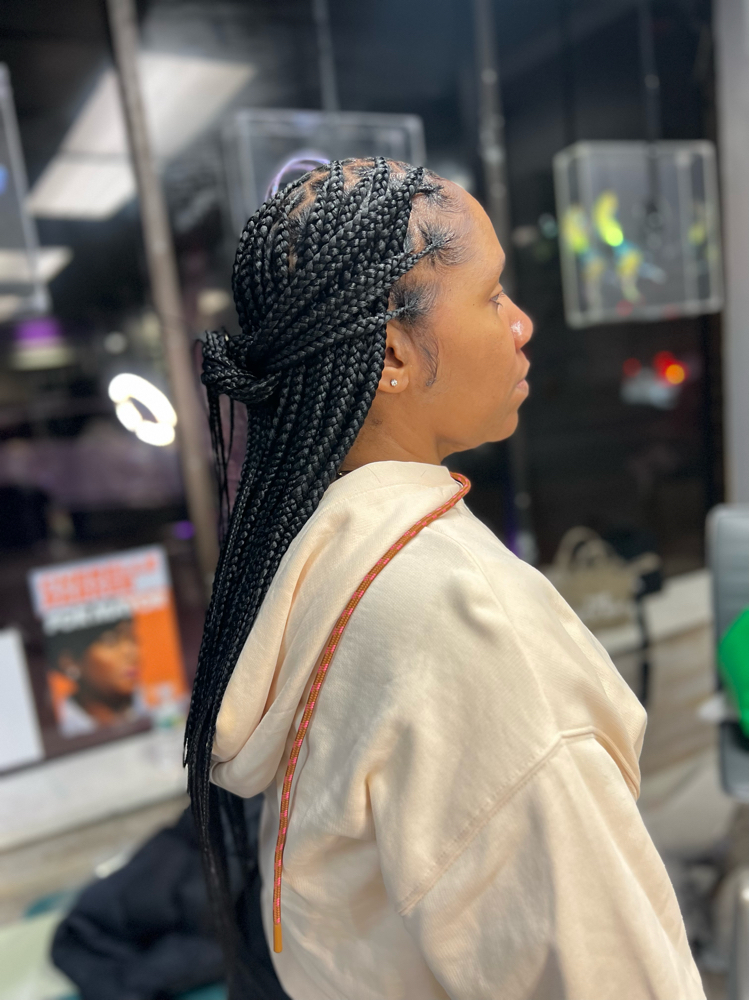 Knotless Braids ( Small )