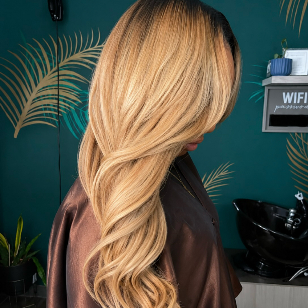 Dimensional Highlight Experience at Ephraim Salon Chicago in Chicago, IL