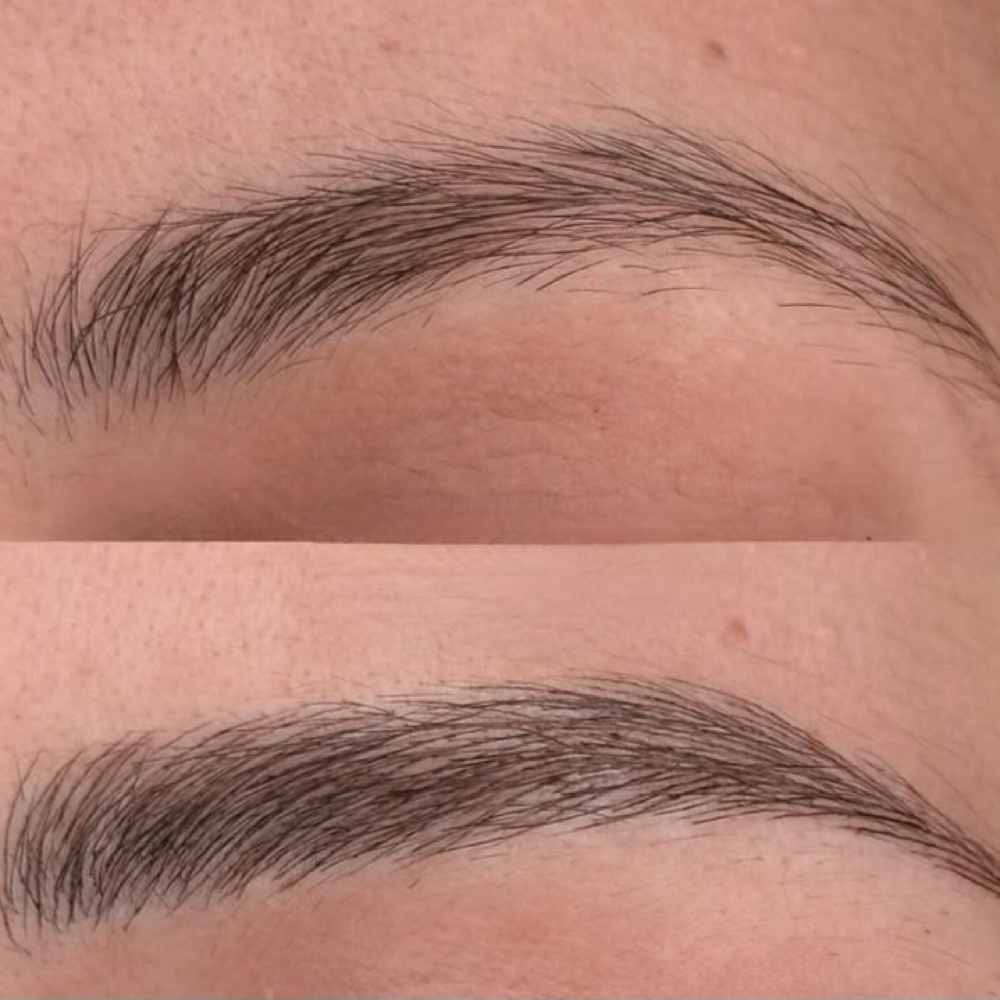 ✨Nano brow Model✨ at Fallen Angel Tattoo in Portland, OR