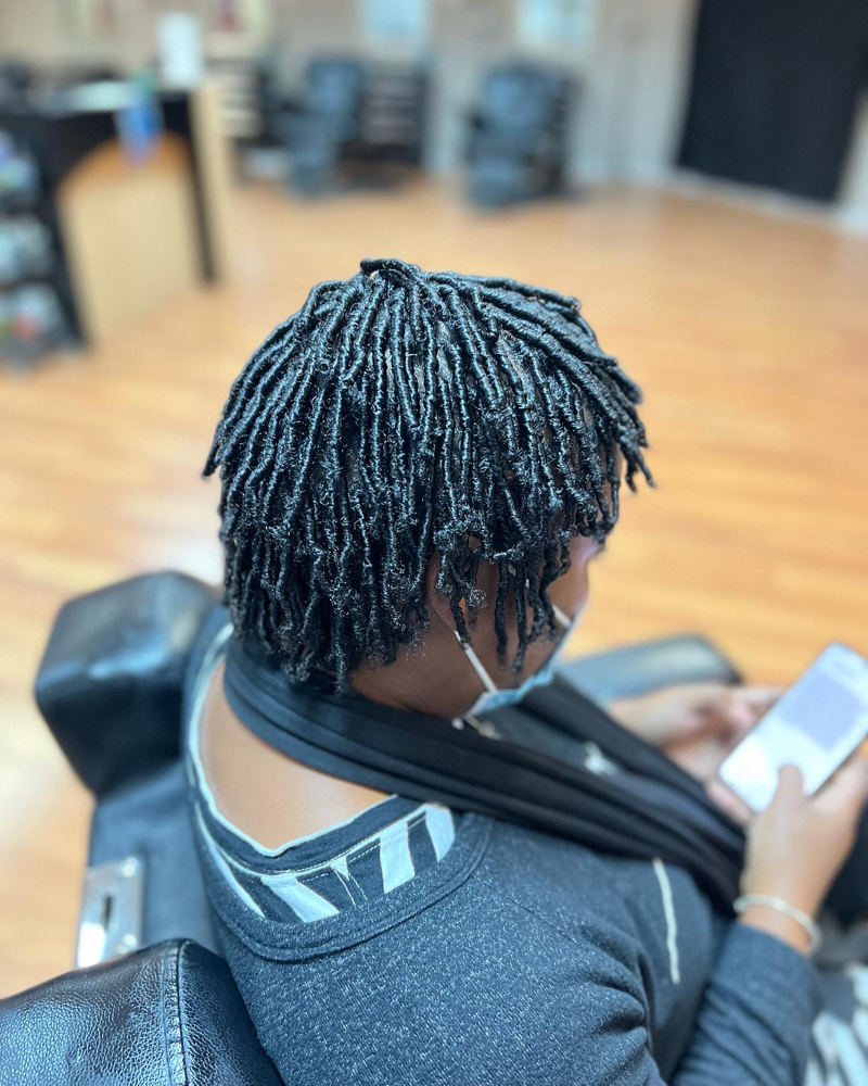 Starter Locs Small