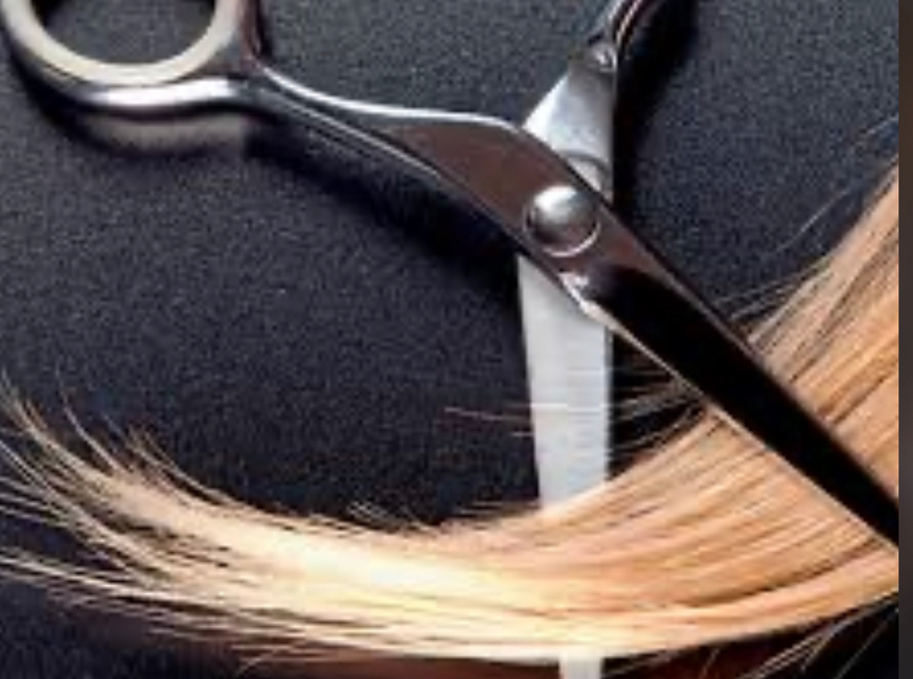 Haircut Level 2 Stylist