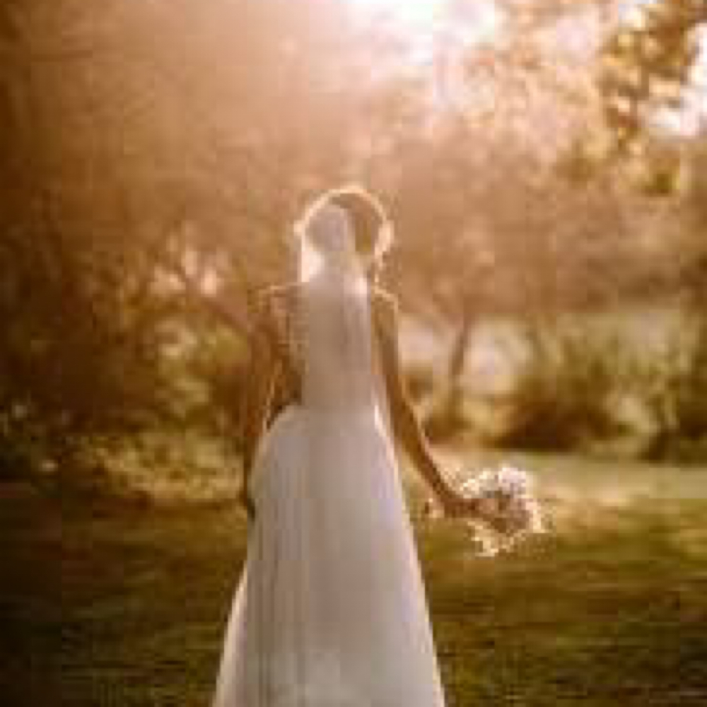 Bridal/Honeymoon Package at Pretty Kitty Waxing in North Augusta, SC