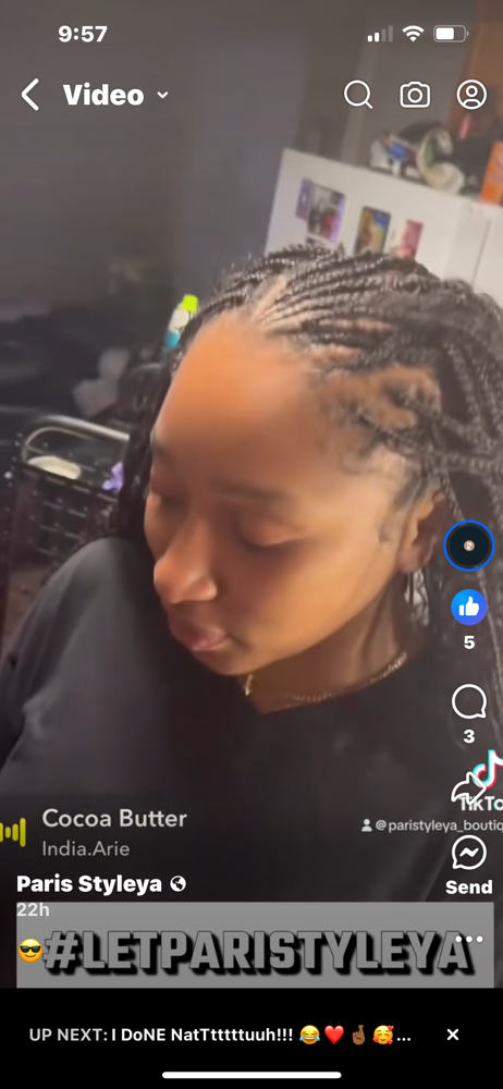 Fulani Braids