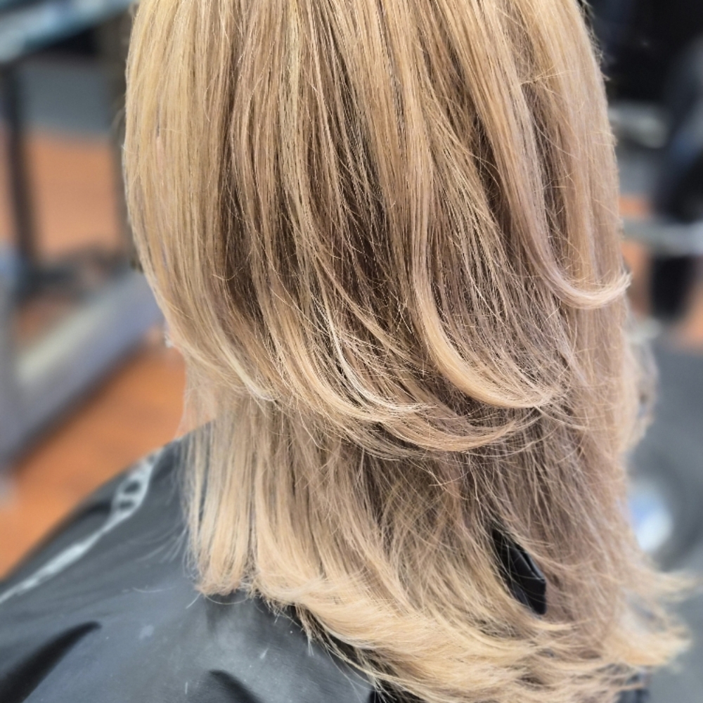 HI/LOW LIGHT COLOR at nicole Martinez in Pinetop-Lakeside, AZ