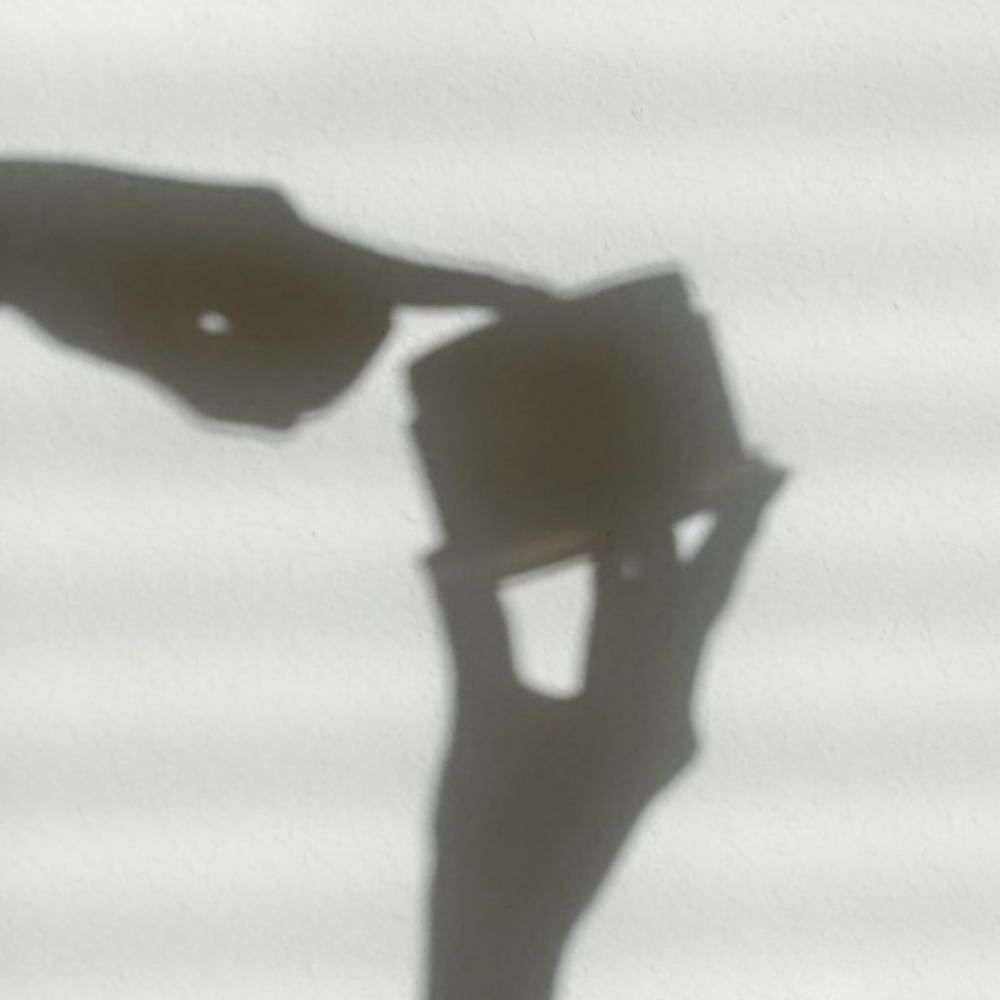 Mini Conditioning Treatment at Angela Nicole in Brownsburg, IN