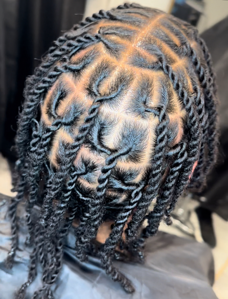 Starter Dreadlocs