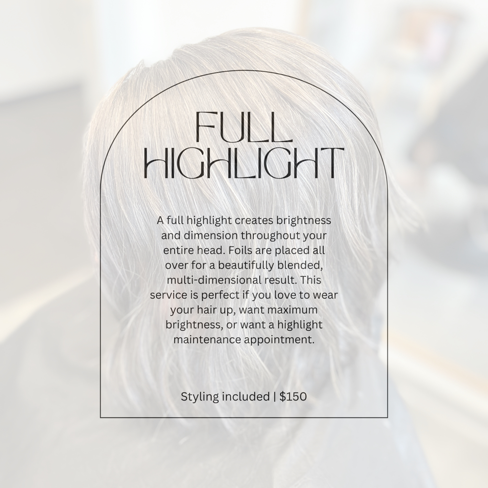 Full Highlight at Hair by Abbigail in Peoria, IL