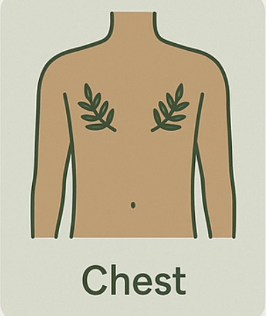 Chest