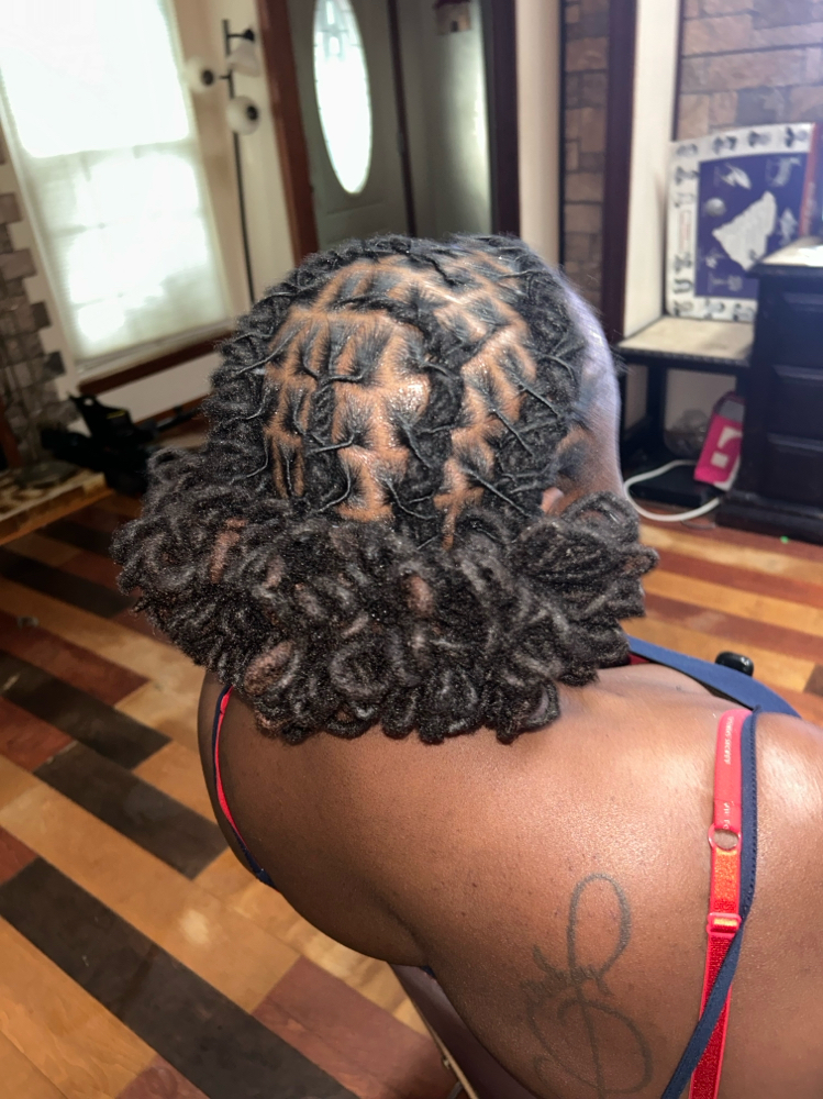 Loc Retwist & Style (Extension) at Tamed by Tamika in Charleston, SC