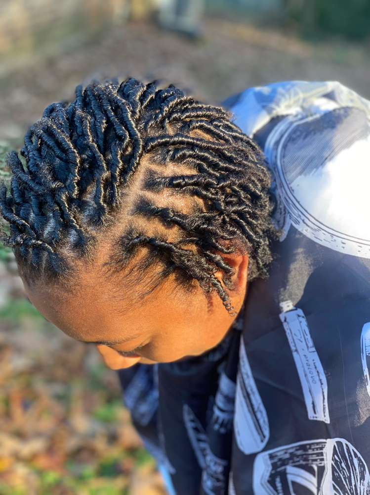 Starter Locs Coil method/2 Strand