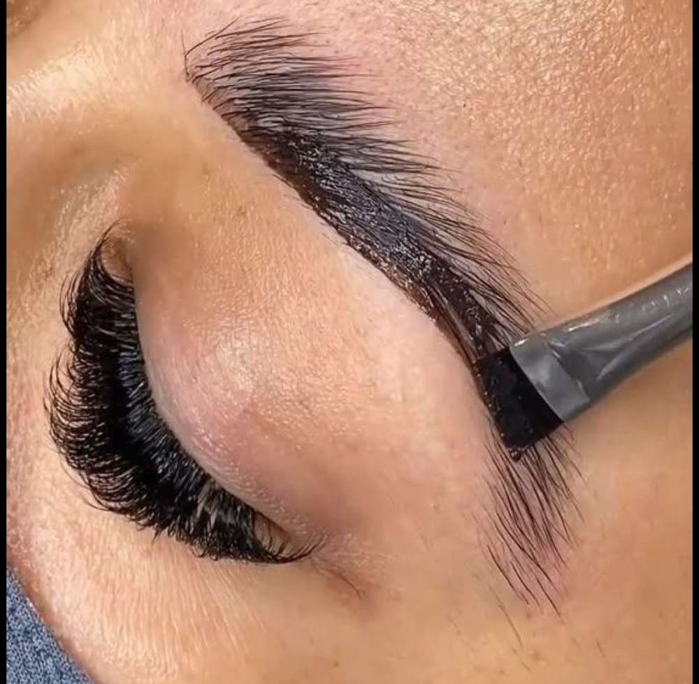Model Brow + Lash