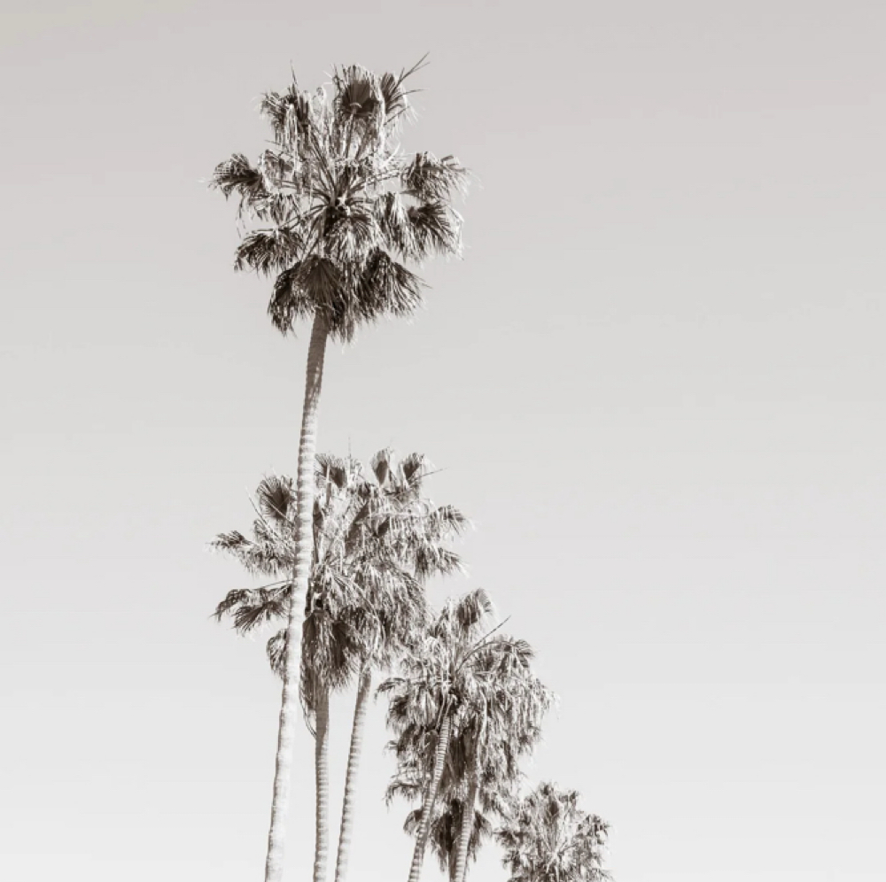 New Client - Spray Tan at 33 Esthetics in Longwood, FL