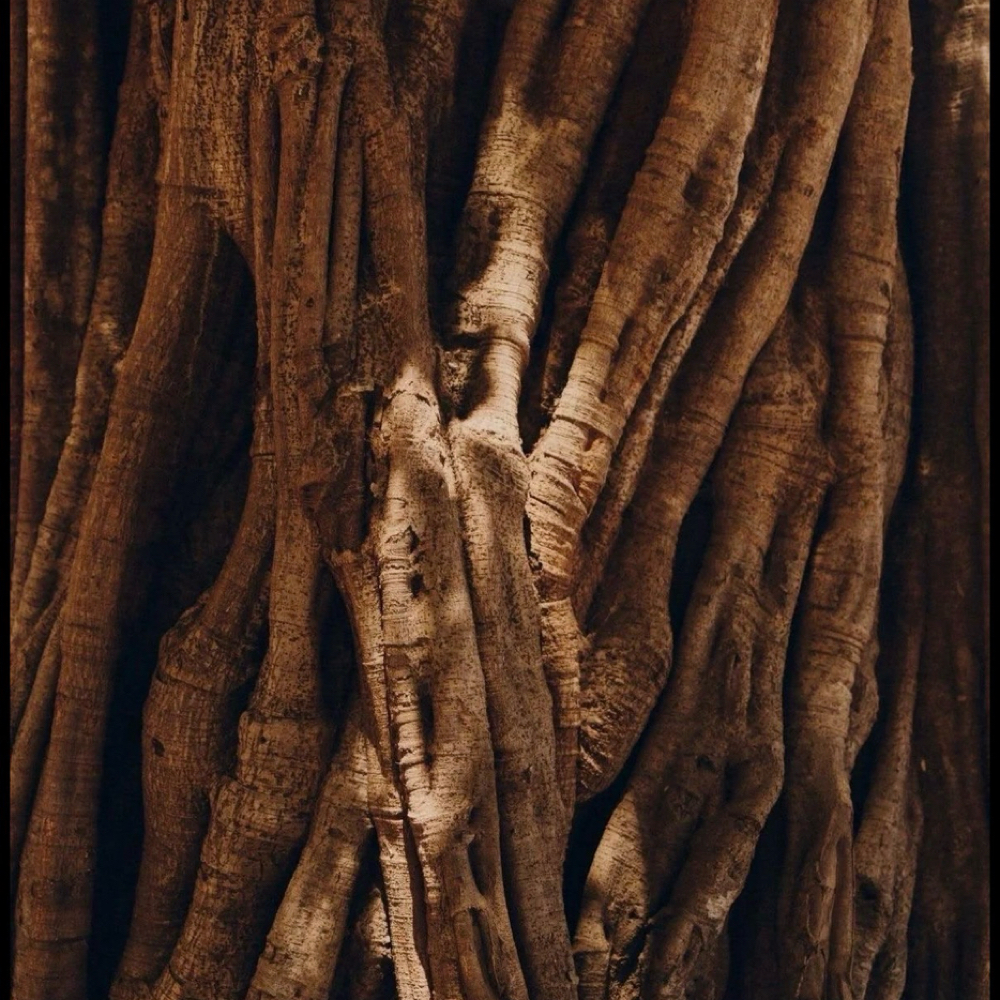 The SOMA Face Lift at The AfterFlow by SOMA in Austell, GA