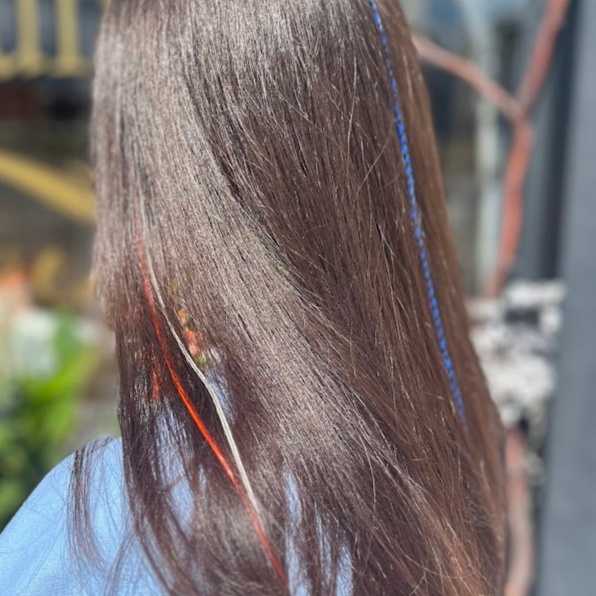 Hair Feather Extension at Ari's Hair Alchemy in Fowlerville, MI