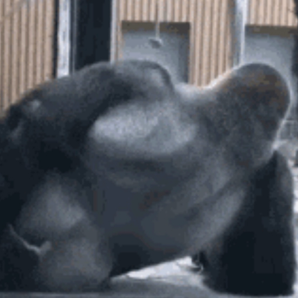 Glutes at LaLa Jay in Bernardsville, NJ