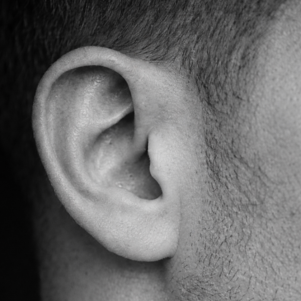 Ears at Modern Wax Co. in East Walpole, MA