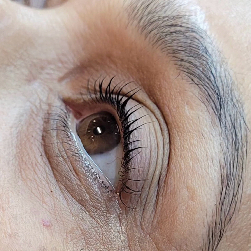 Lash Lift + Tint at Solo Collective Beauty Bar in McKinney, TX