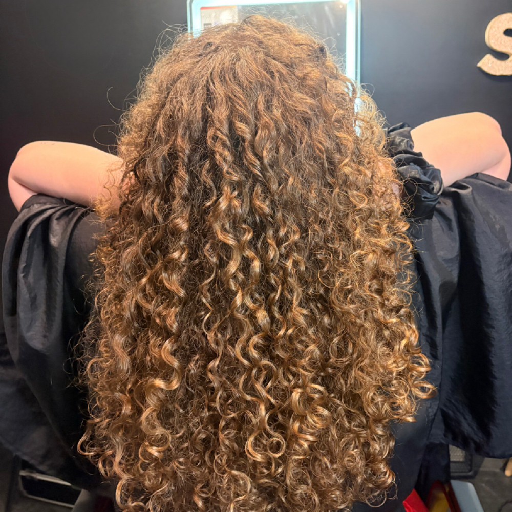 Diffuse Style at Sierascissorhands in Beeville, Tx, TX