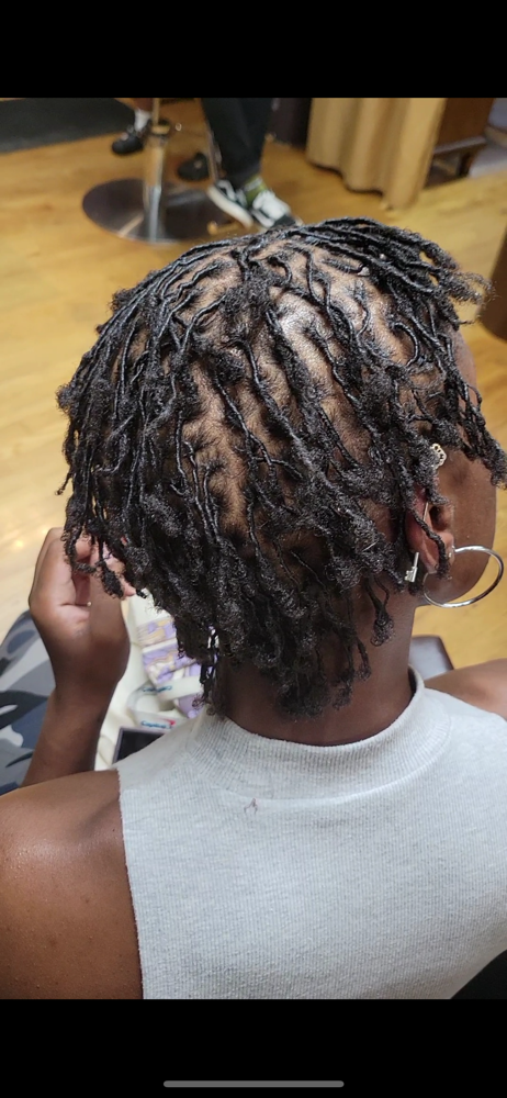 Beginner Loc Journey Consultation at Royal Roots Natural Hair Salon Studio in Bowie, MD