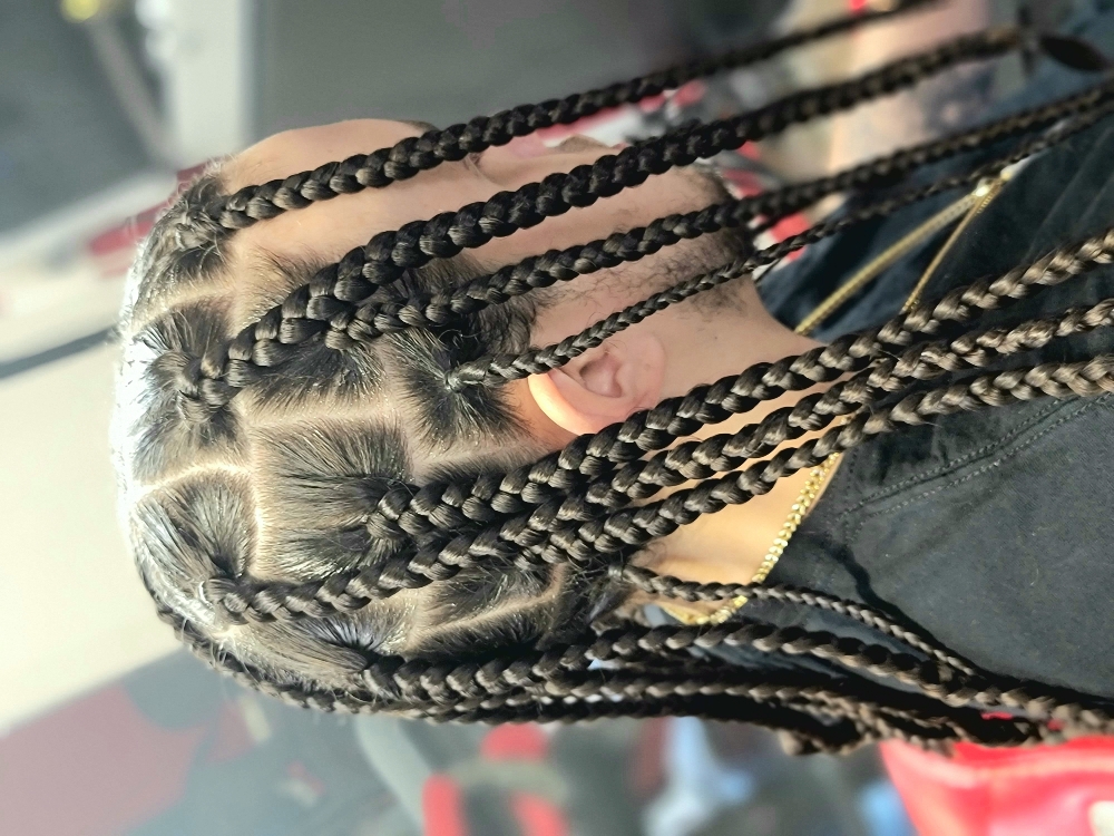 ⭐️Single plaits/twist (long)