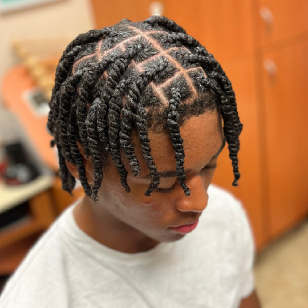 Men's BLOW DRY & Two-strand Twists at Hair By ElahVee in Omaha, NE