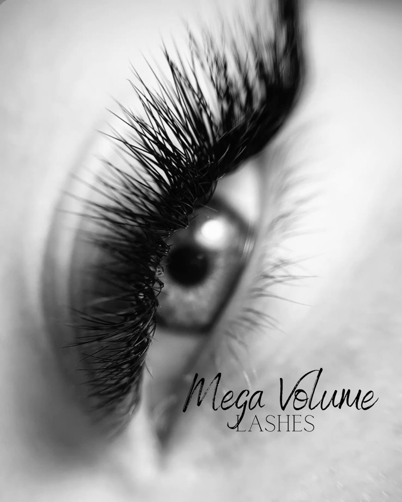Mega Volume Lashes at Landin Smith in Asheville, NC