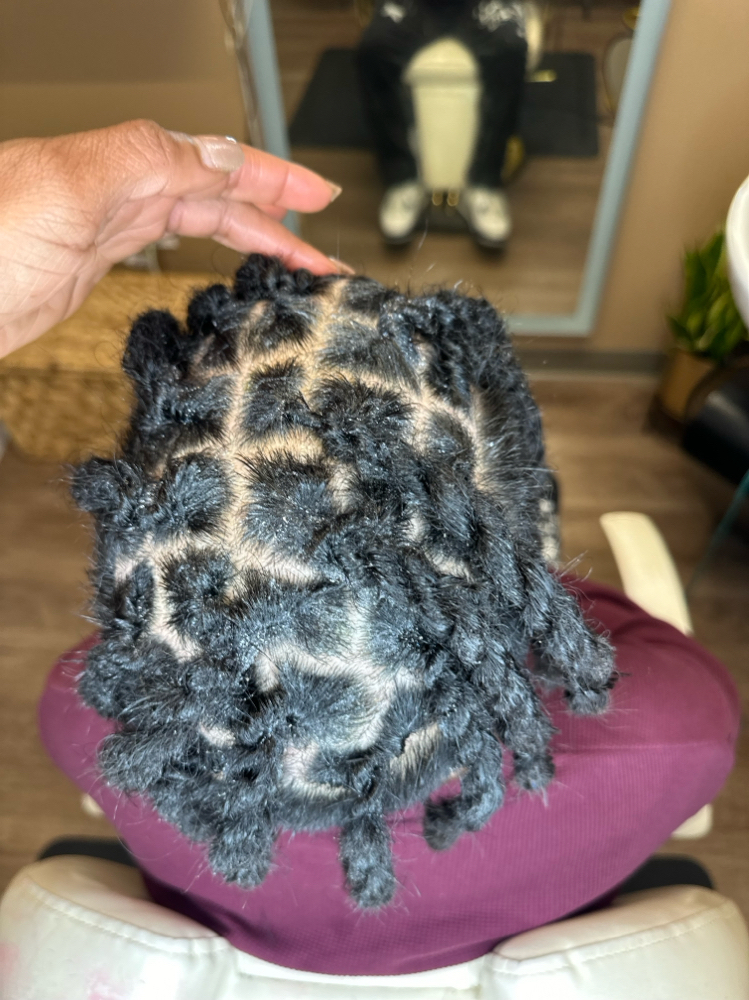 Comb Re-twist + Rope Twists (Loc)