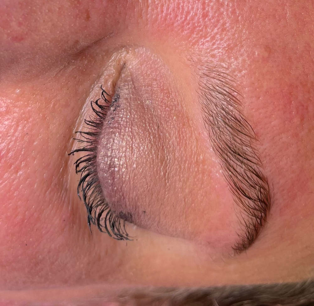 Brow Lamination at Joyce Servin in Canton, MI