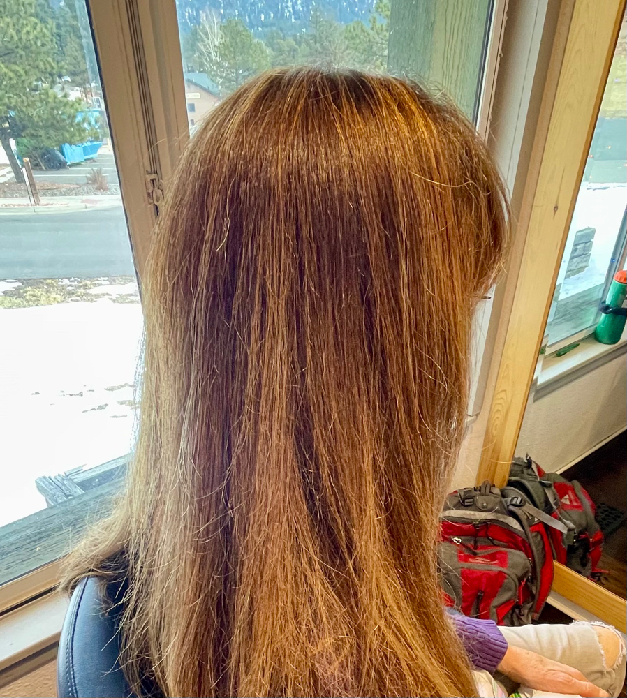 Root Touch Up (no Haircut)