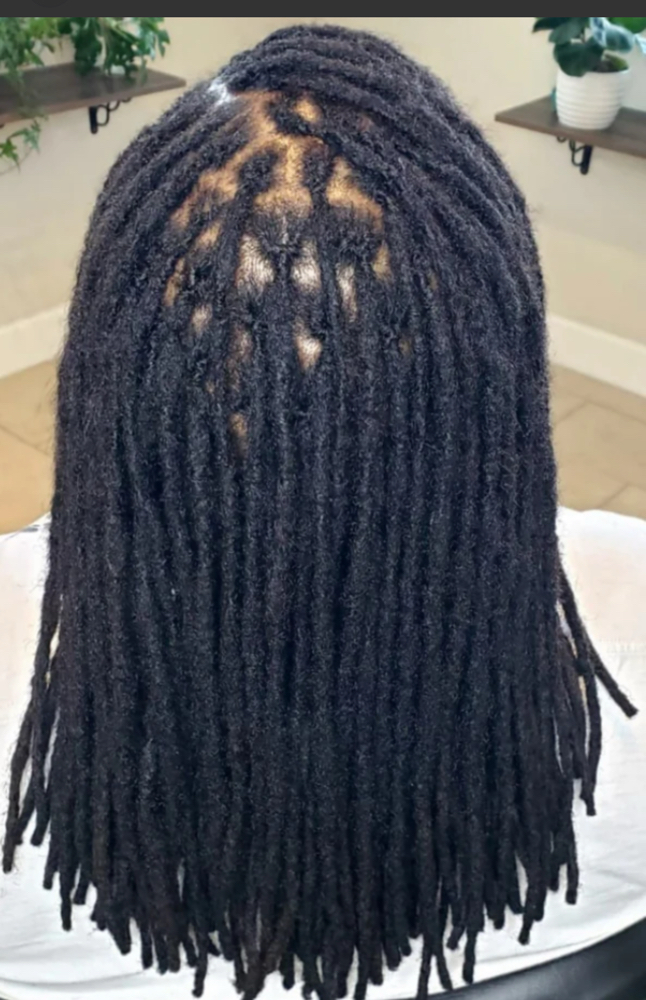 Interlocks (Traditional locs ONLY) at LBZ Hair Company in Pelham, AL