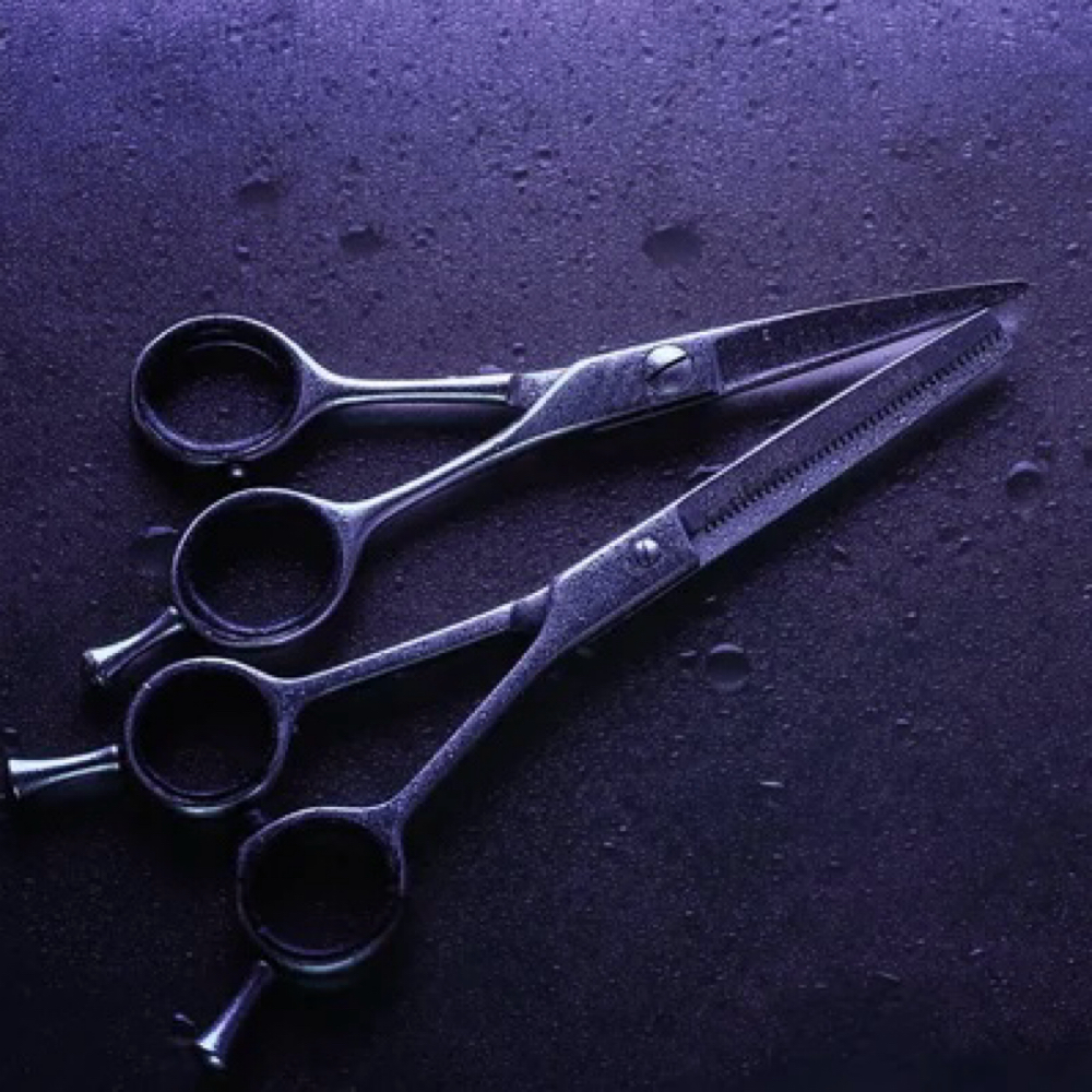 Curly Cuts (Without a Blowout) at The Hair Jordan Experience in Alameda, CA