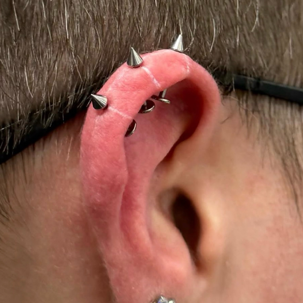 Vertical helix at Vita Aurelia Piercings in Temecula, CA