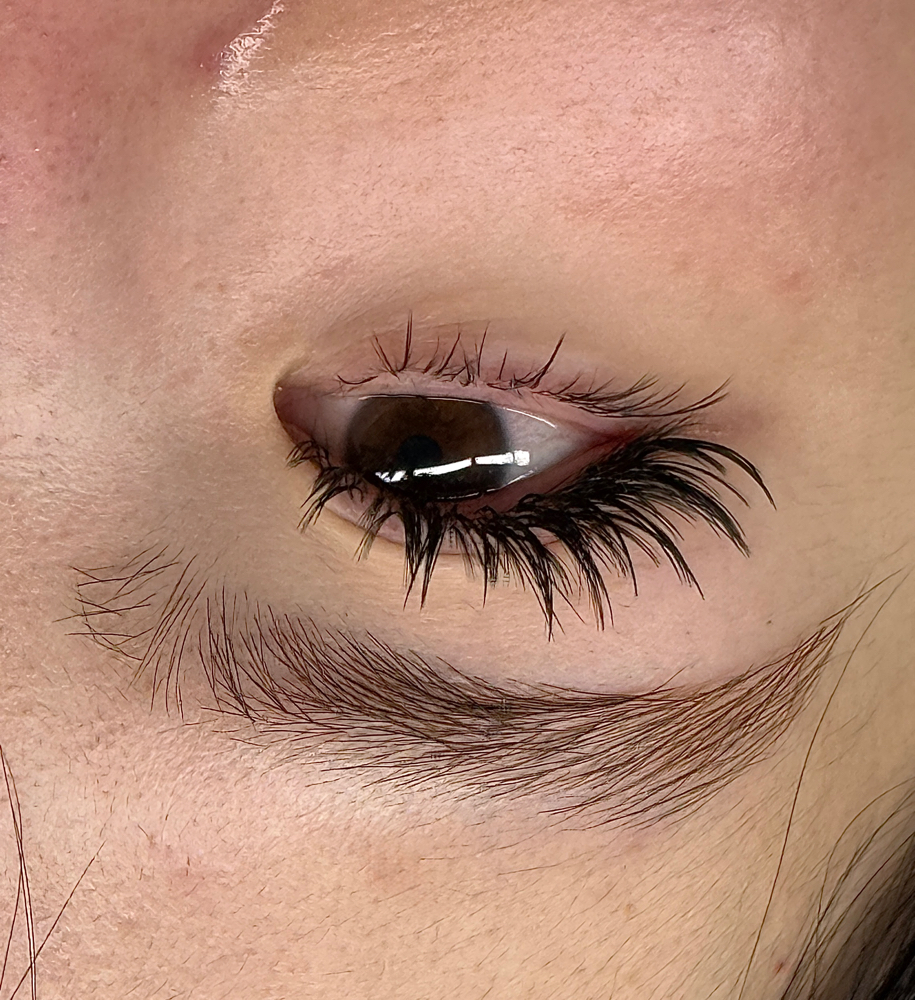 Bottom Lashes