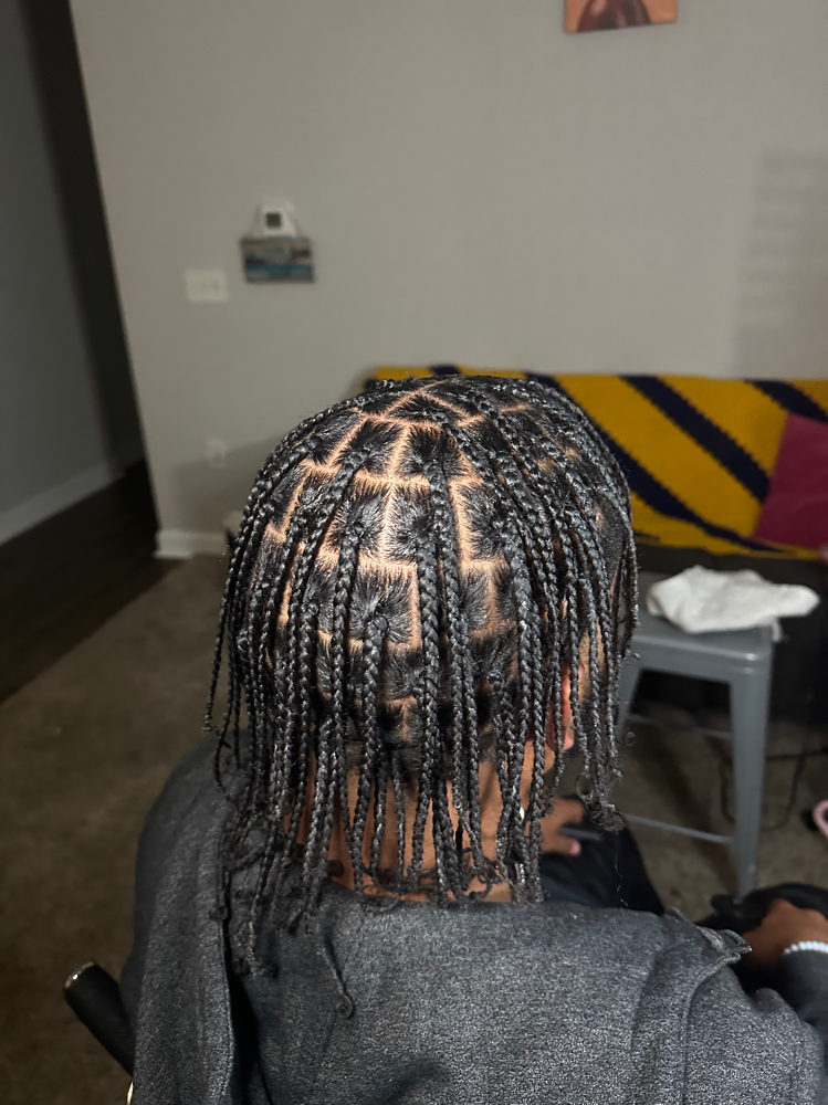 Braids/Plaits